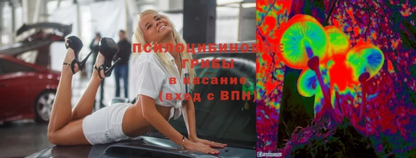 таблы Дмитриев