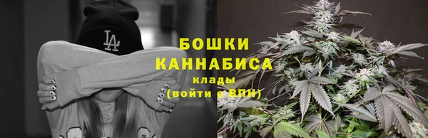 таблы Дмитриев